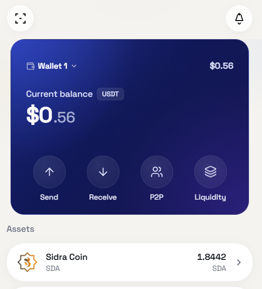Hawk Wallet home — Wallet 1, send, receive, P2P, liquidity, and Sidra Coin